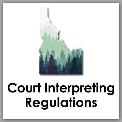 Court Interpreting Regulations